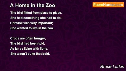 Bruce Larkin - A Home in the Zoo