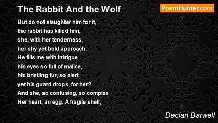 Declan Barwell - The Rabbit And the Wolf