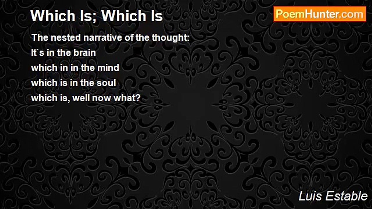 Luis Estable - Which Is; Which Is