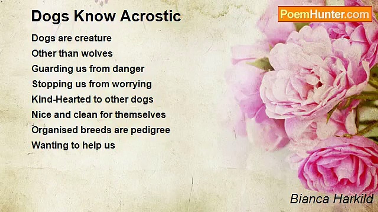 Bianca Harkild - Dogs Know Acrostic