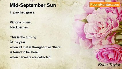 Brian Taylor - Mid-September Sun