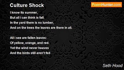 Seth Hood - Culture Shock