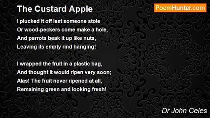 Dr John Celes - The Custard Apple