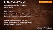 Shalom Freedman - In The Virtual World