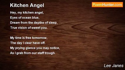 Lee Janes - Kitchen Angel