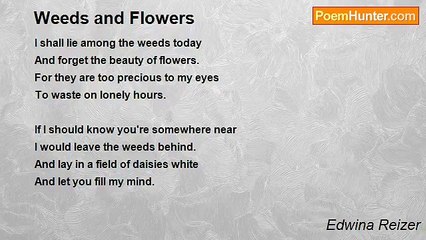 Edwina Reizer - Weeds and Flowers