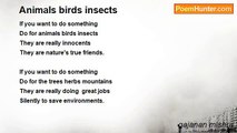 gajanan mishra - Animals birds insects