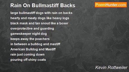 Kevin Rottweiler - Rain On Bullmastiff Backs