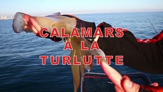 Pêche des calamars à la turlutte en bateau par Europêche34