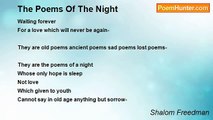 Shalom Freedman - The Poems Of The Night