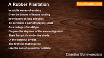 Dilantha Gunawardana - A Rubber Plantation
