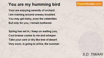 S.D. TIWARI - You are my humming bird