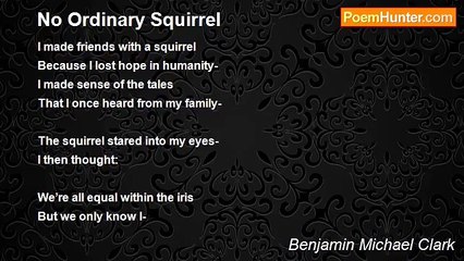 Benjamin Michael Clark - No Ordinary Squirrel