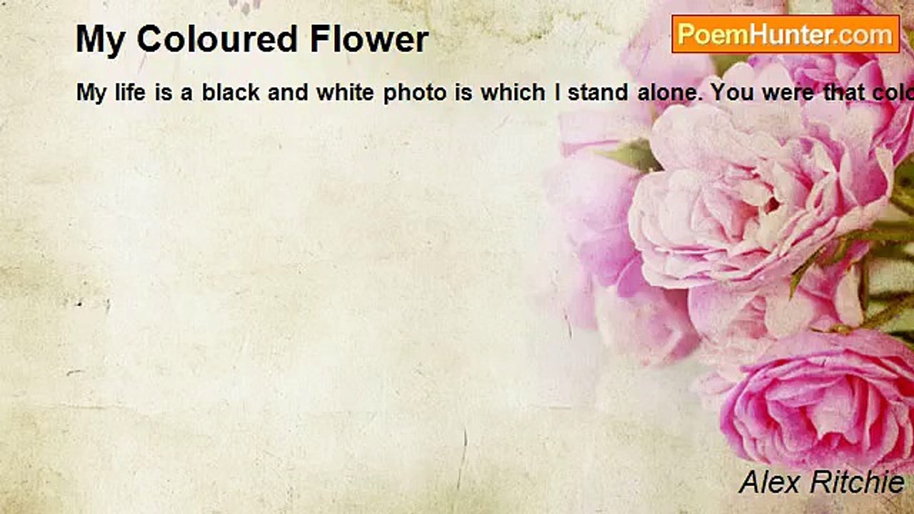 Alex Ritchie - My Coloured Flower