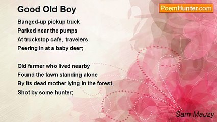 Sam Mauzy - Good Old Boy