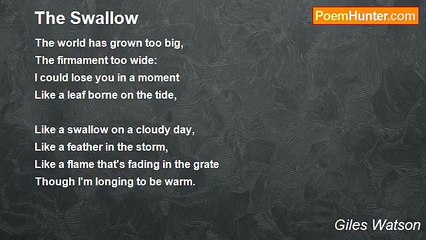 Giles Watson - The Swallow
