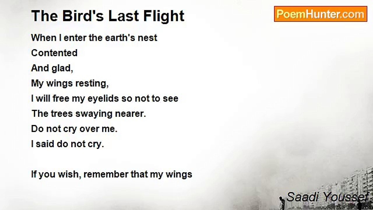 Saadi Youssef - The Bird's Last Flight