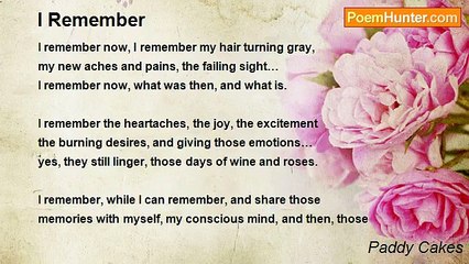 Paddy Cakes - I Remember