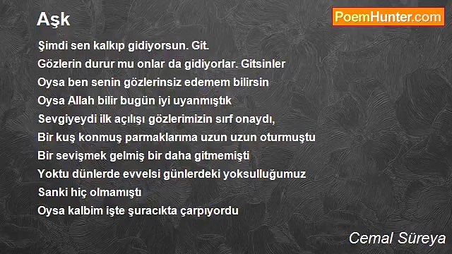 Cemal Süreya - Aşk