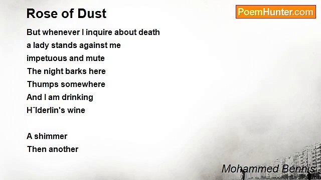 Mohammed Bennis - Rose of Dust