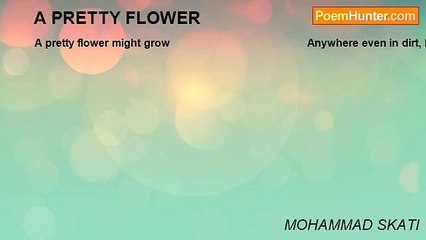 MOHAMMAD SKATI - A PRETTY FLOWER
