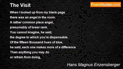 Hans Magnus Enzensberger - The Visit