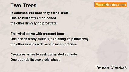 Teresa Chrobak - Two Trees