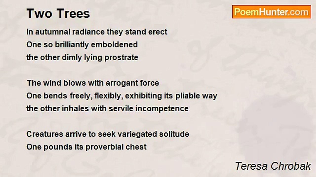 Teresa Chrobak - Two Trees