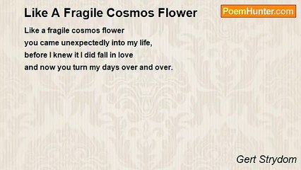 Gert Strydom - Like A Fragile Cosmos Flower