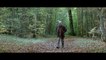 Family Tree / L'Arbre et la Forêt (2010) - Trailer French
