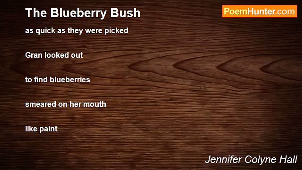 Jennifer Colyne Hall - The Blueberry Bush