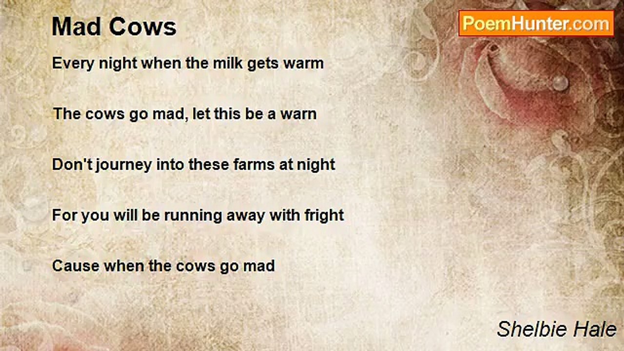 Shelbie Hale - Mad Cows