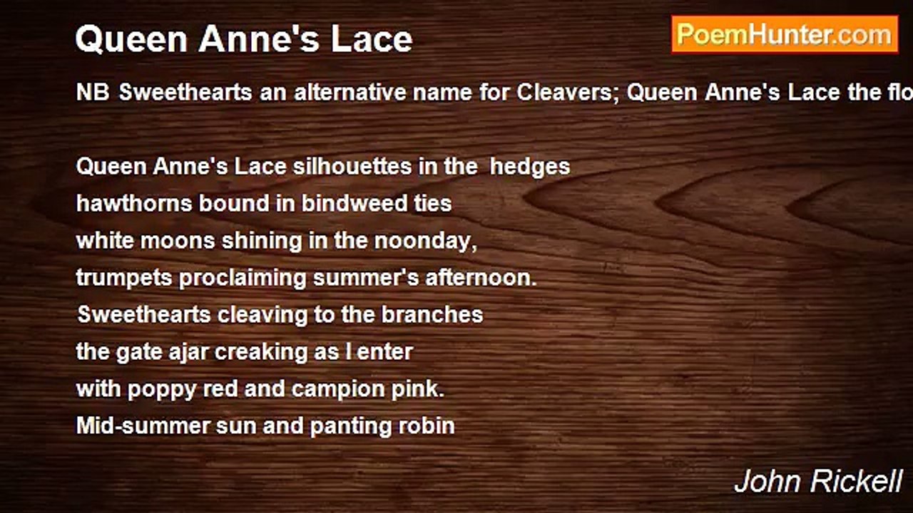John Rickell - Queen Anne's Lace