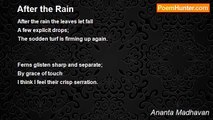 Ananta Madhavan - After the Rain