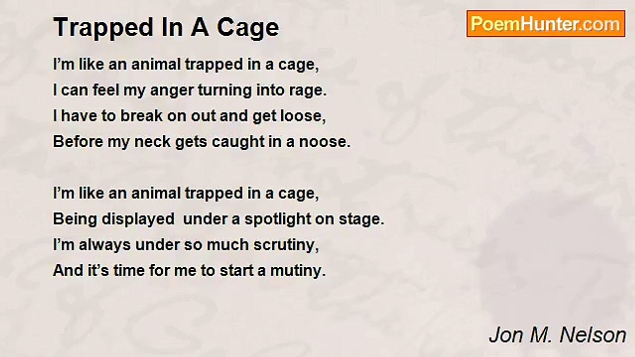 Jon M. Nelson - Trapped In A Cage