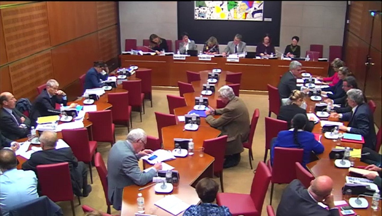 Intervention d'Hervé Féron en Commission des Affaires Culturelles et de l'Education : PLF 2015 - présentation des rapports pour avis sur les crédits des missions Création, transmission des savoirs et démocratisation de la culture, Patrimoine