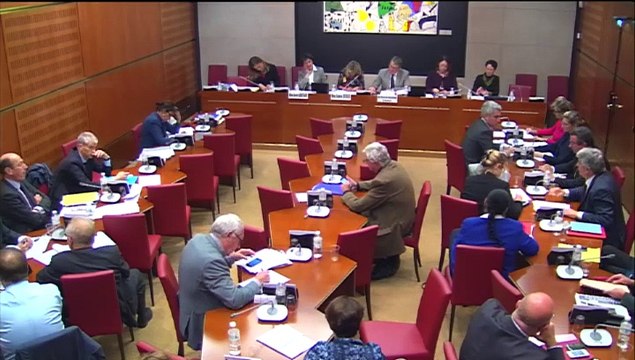 Intervention d'Hervé Féron en Commission des Affaires Culturelles et de l'Education : PLF 2015 - présentation des rapports pour avis sur les crédits des missions Création, transmission des savoirs et démocratisation de la culture, Patrimoine