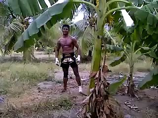 Ndërkohë çuni dajës Tarzanit.