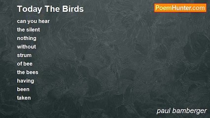 paul bamberger - Today The Birds