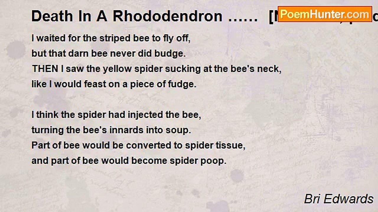 Bri Edwards - Death In A Rhododendron ……  [NATURE; predator/prey in-miniature; invertebrates; MEDIUM]