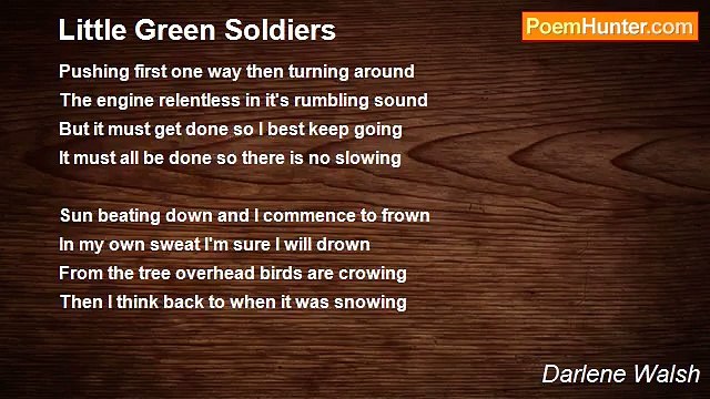 Darlene Walsh - Little Green Soldiers