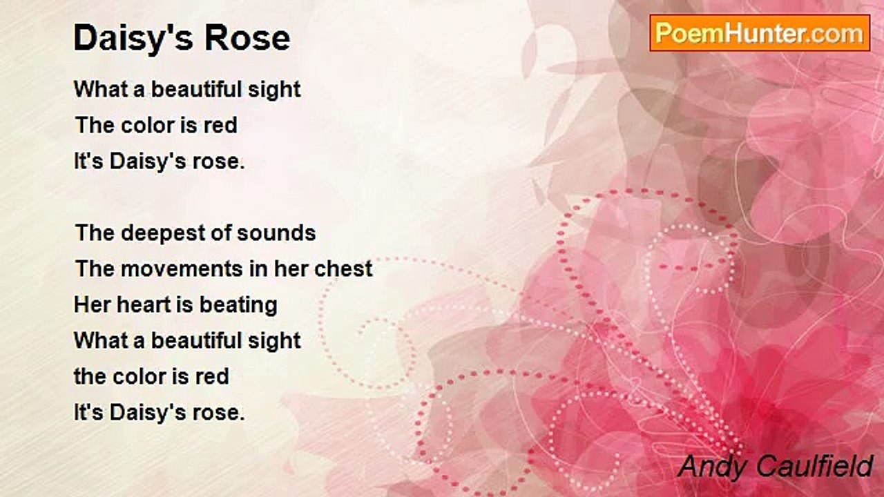 Andy Caulfield - Daisy's Rose