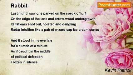 Kevin Patrick - Rabbit