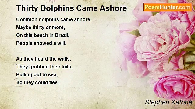 Stephen Katona - Thirty Dolphins Came Ashore
