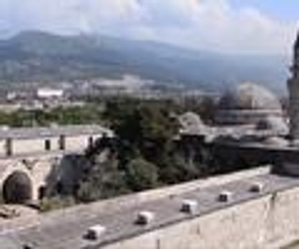 Bin 350 yıllık zeytin ağacından 300 kilogram zeytin