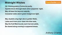 Anthony Di'anno - Midnight Wishes