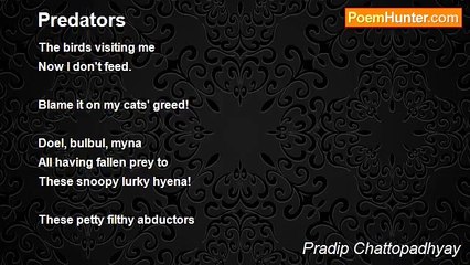 Pradip Chattopadhyay - Predators