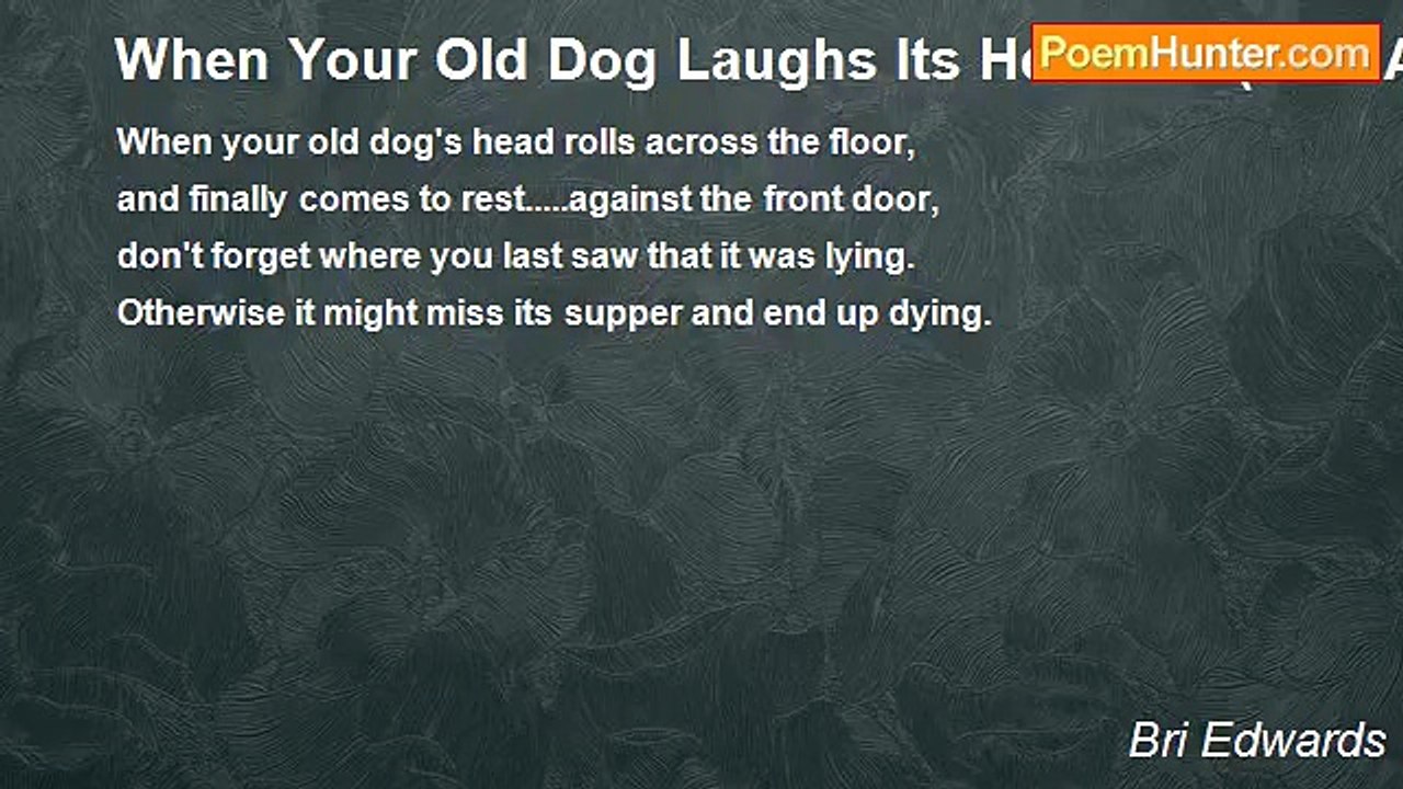 Bri Edwards - When Your Old Dog Laughs Its Head Off (Like A Rolling Stone)   .....   [ response to a PH friend; VERY SHORT; HUMOR]
