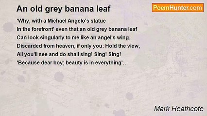 Mark Heathcote - An old grey banana leaf