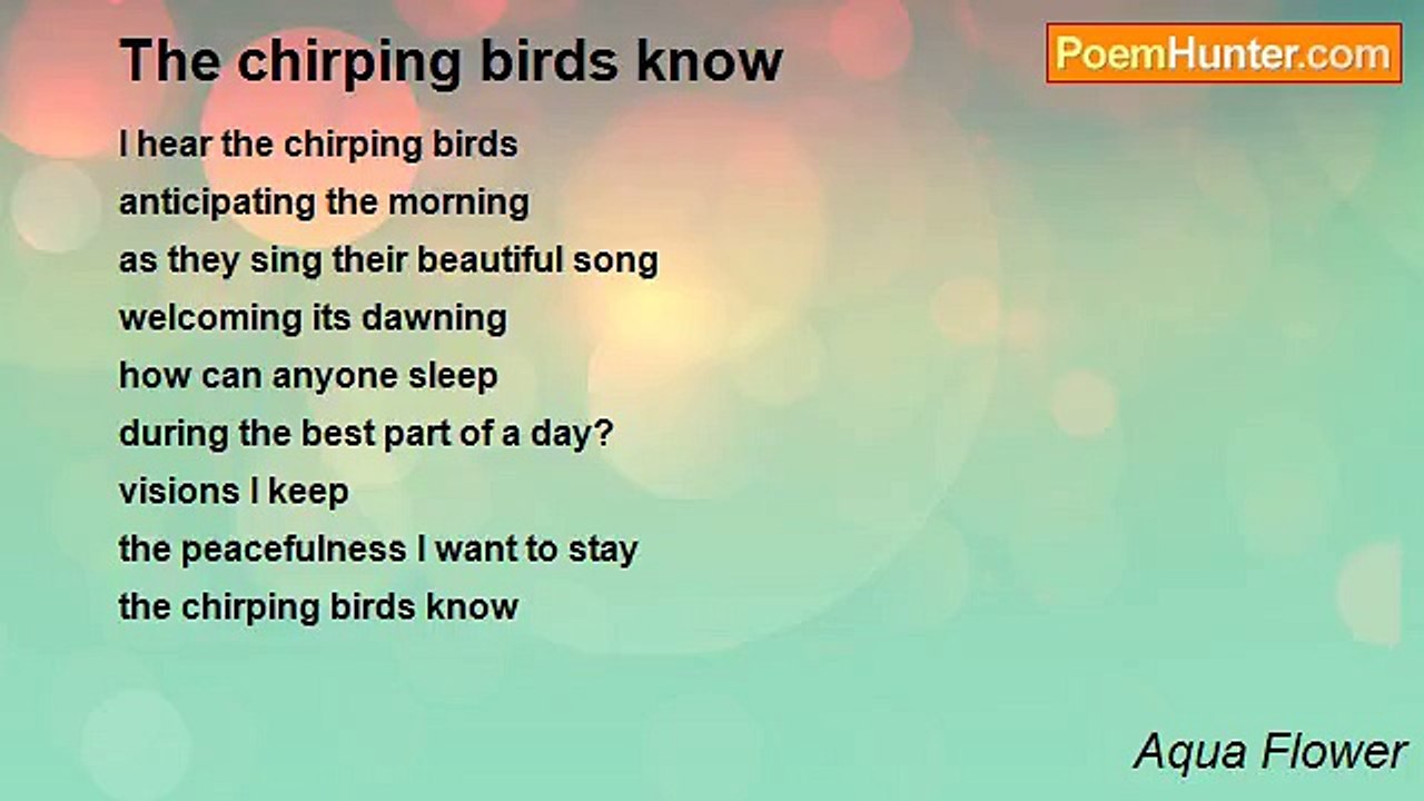 Aqua Flower - The chirping birds know